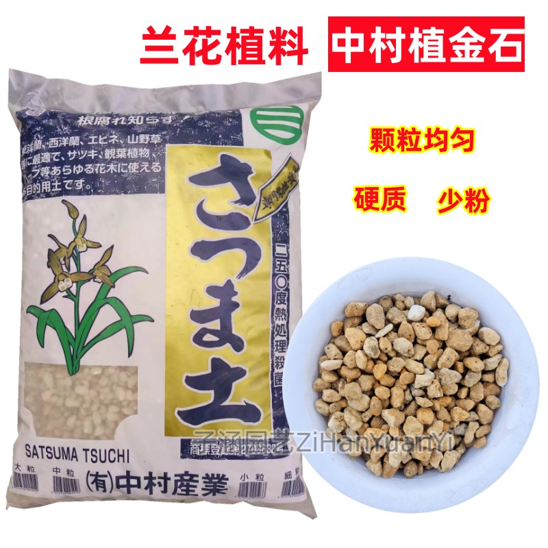 中村兰花蝴蝶兰种植护茎铺面颗粒