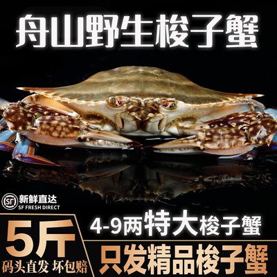 【保鲜不保活】舟山梭子蟹特大野生海蟹海鲜水产7-9两/只5斤顺丰