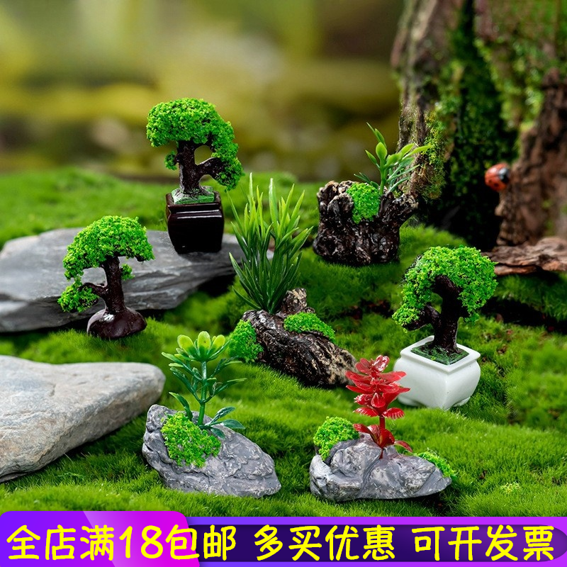 微景观创意盆栽迎客松小盆景