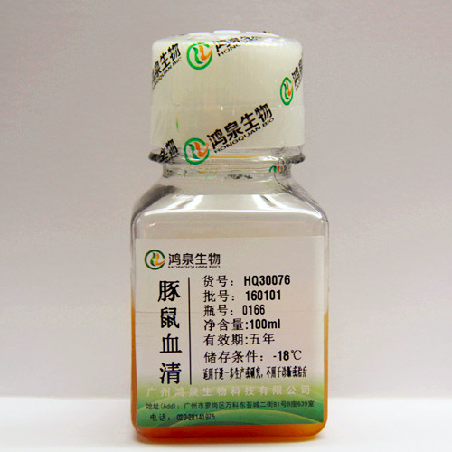 豚鼠血清新鲜无菌细胞培养CH50补体结合实验提取抗体鸿泉生物