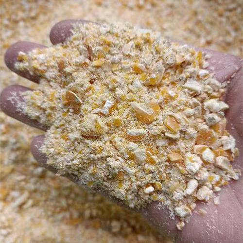 宠物饲料透风干燥储存山地新玉米