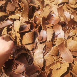 油菜籽饼种菜种花有机肥料 钓鱼打窝饵料 家畜家禽饲料纯料无添加