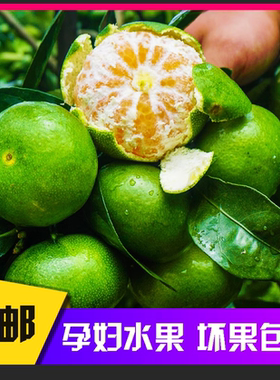 福建酸橘子青皮桔子孕妇水果