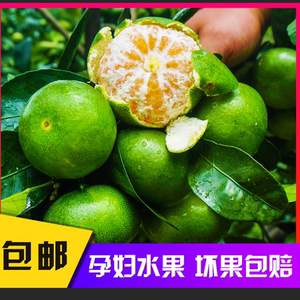 福建酸橘子青皮桔子孕妇水果