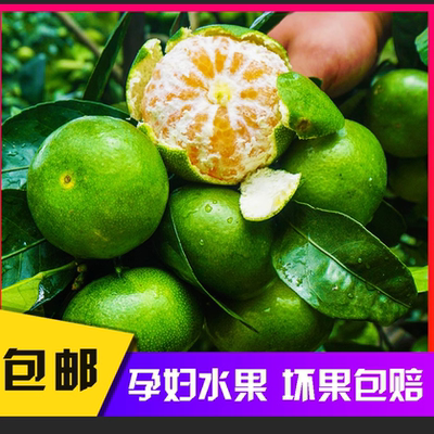 【口感酸甜】福建橘子新鲜现摘青皮橘子酸甜薄皮蜜桔桔子孕妇水果