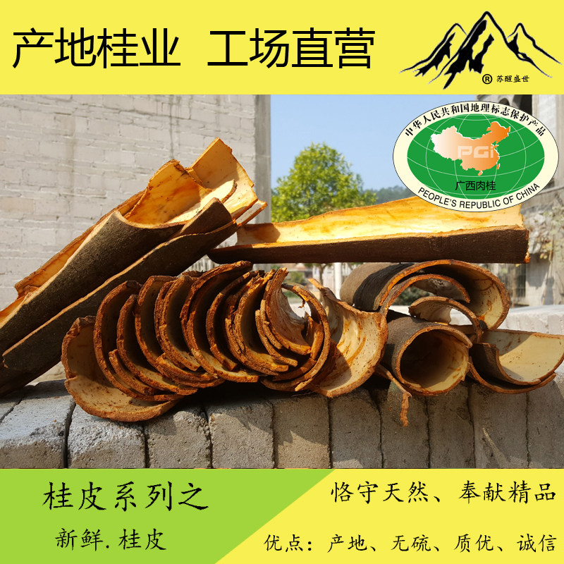 广西野生新鲜桂皮 肉桂 现剥现发