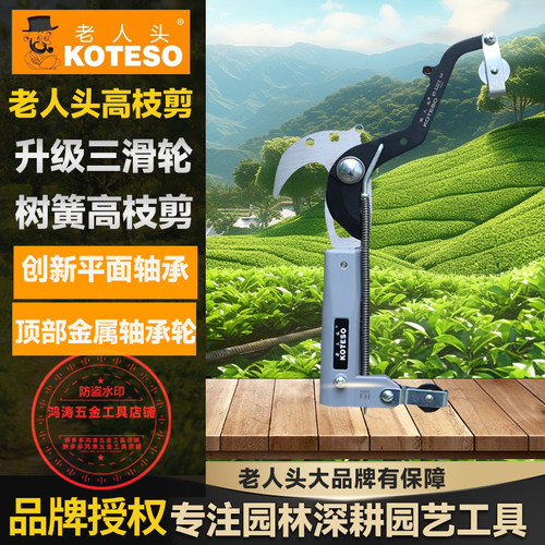 老人头高枝剪三滑轮平面轴承