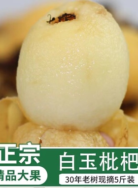 正宗浙江台州白沙枇杷新鲜应季水果薄皮白玉琵琶5礼盒斤装包邮甜