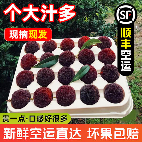 【颗颗精品】正宗仙居大颗粒东魁