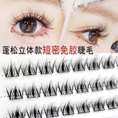 短号5D免胶假睫毛女三部曲免胶自粘眼睫毛自然浓密款 睫毛网红爆款
