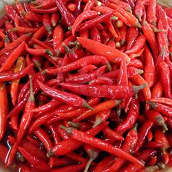散装正宗桂林全州酸辣椒1斤真空打包朝天椒米椒特产海椒红辣椒