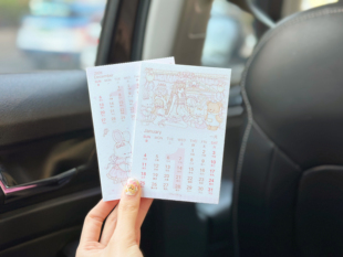 Pink berry原创少女心兔熊少女插画2026可撕月历折页卡