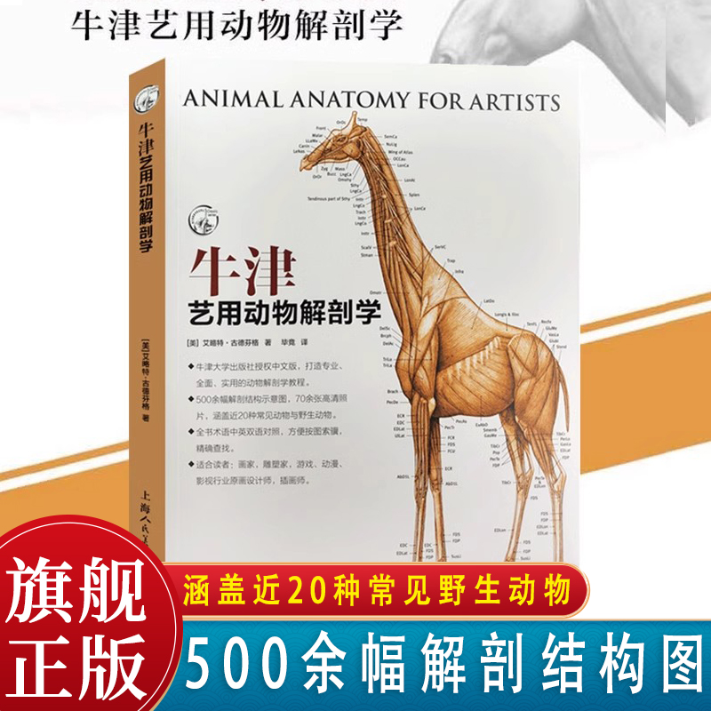 牛津艺用动物解剖学中英对照版