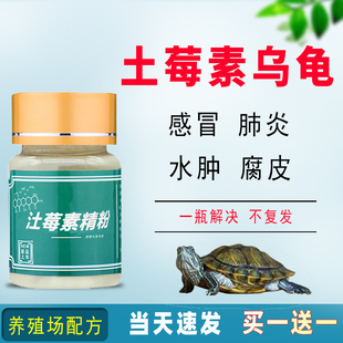 乌龟水族肠炎感冒肺炎白眼脱肛浮水拒食腐皮腐甲烂肉疥疮非龟药