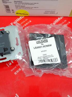 Jung LS3521-5CNSW 永诺全新中式智能插座 LS990