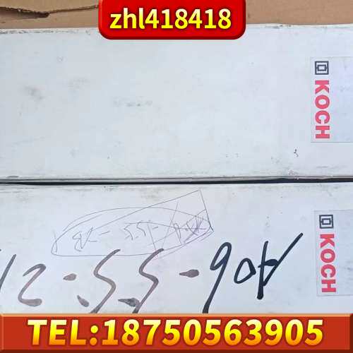 德国KOCH 制动电阻BWD500240，200W  2