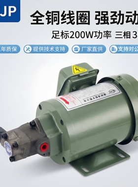 厂销优顿摆线泵三角油泵电机齿轮泵ROP-10A/13A润滑泵三相380V