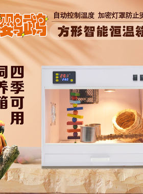 大毛宠物鹦鹉保温恒温箱