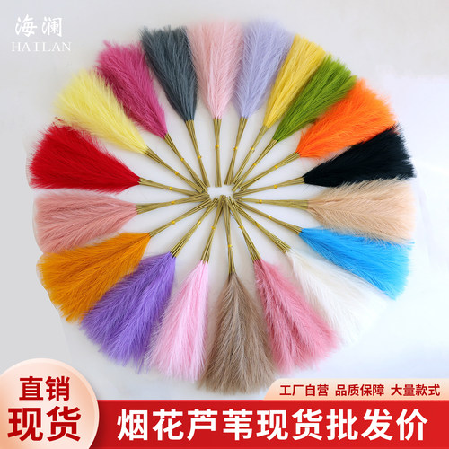 烟花仿真芦苇烟花婚庆孔雀草羽毛