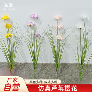 狗尾草仿真花假芦苇草绿植假洋葱草狗尾巴猫尾草花箱装饰造景盆栽