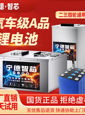 宁德智芯锂电池电动车专用大容量长续航二三四轮通用工厂直销