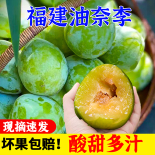 【正宗】福建油奈李新鲜青奈李子脆甜脱骨青脆李当季孕妇水果包邮