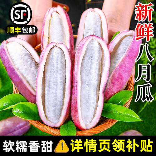 现摘八月瓜新鲜水果八月炸麻藤包