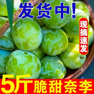福建奈李新鲜水果5斤包邮孕妇桃形李子青脆空心青奈脆甜李子油奈