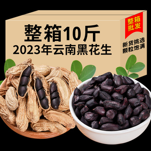 10斤云南黑皮花生米种子 2023新黑花生云南特产带壳晒干黑花生5斤