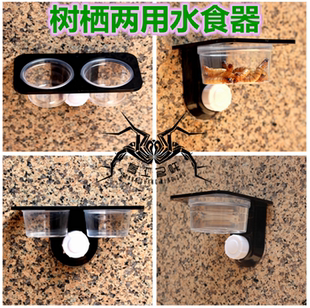 爬虫树栖两用吸盘水盆食盆睫角守宫喂食器甲虫果泥菜盆蜘蛛虫盆