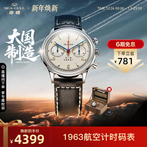 海鸥表1963航空计时码表