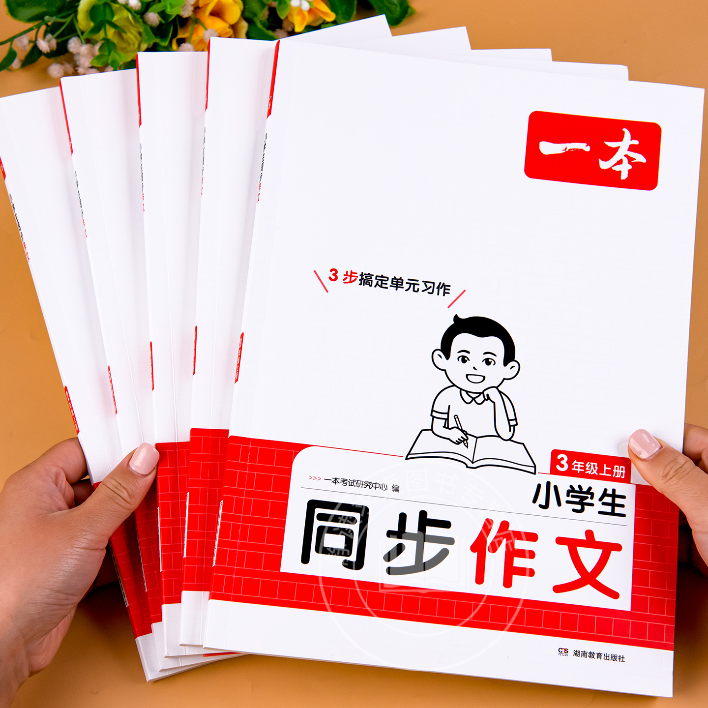 普照文化小学生3-6年级作文书