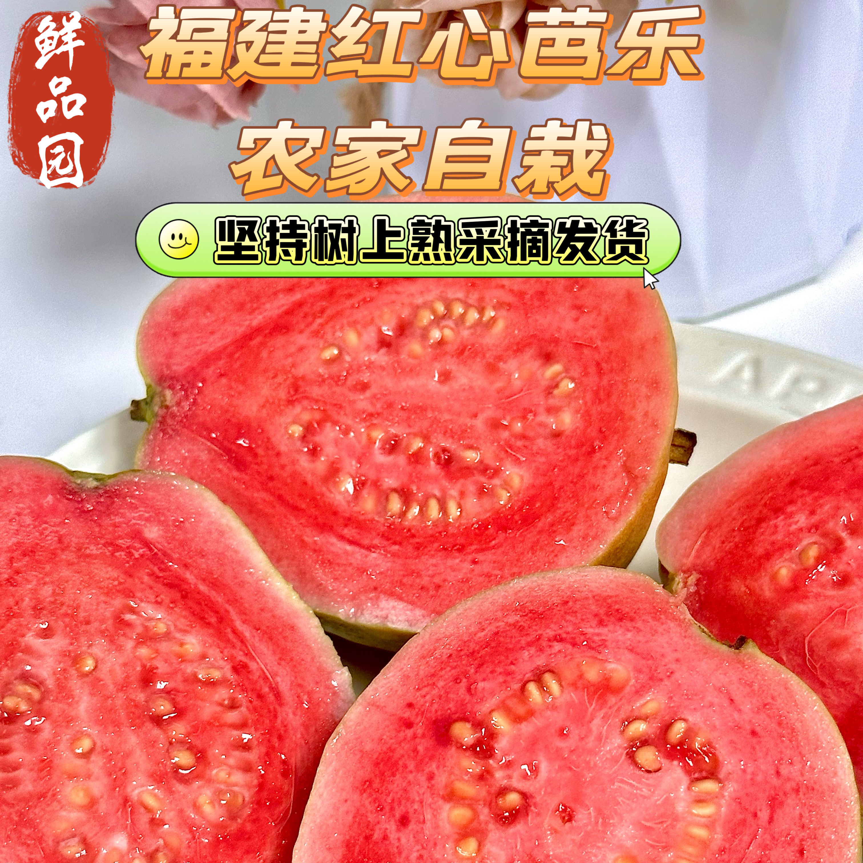 福建漳州软心白红芭乐脆甜5斤装