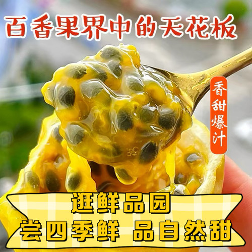 福建漳州钦蜜9号黄金百香果现摘