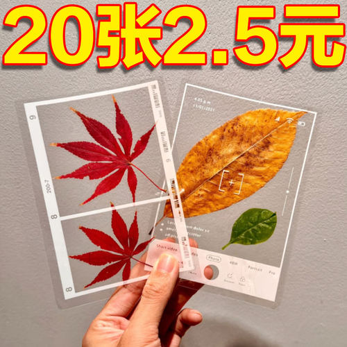 植物手工自制DIY书签透明