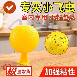 室内粘虫球果园粘小虫子家用厨房蚊蝇诱捕器无毒驱虫神器诱飞虫板