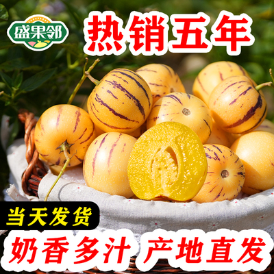 包赔树上人参果云南石林