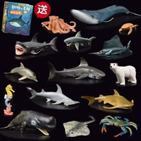 Реалистичная морская игрушка, комплект, детская акула, дельфин