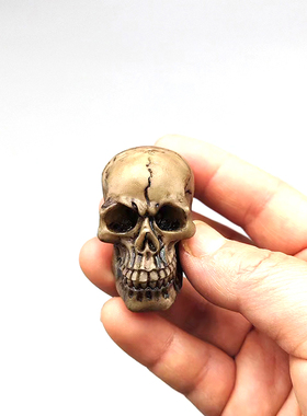 1/6比例 场景 海盗船长 迷你 旧化 头骨骷髅 模型