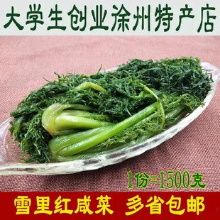 雪里红腌菜雪菜咸菜雪里蕻酱菜农家自制脆爽下饭菜新鲜 3斤装包邮