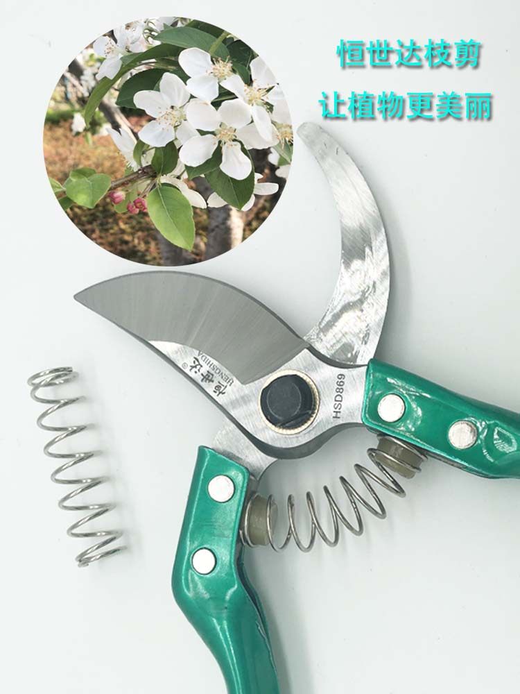 恒世达枝剪果树剪家庭园艺修剪树枝植物花卉省力剪粗枝剪刀花剪子