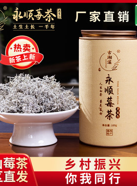 永顺张家界特级龙须芽尖野生莓茶