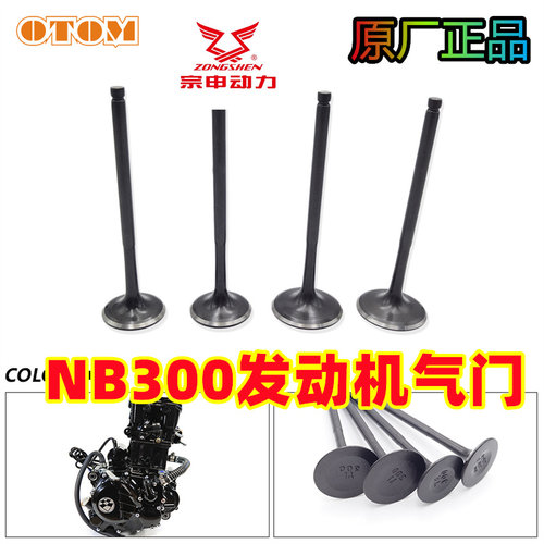 克维斯NB300发动机气门