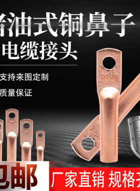镀锡欧式铜接线端子铜鼻子接头DT线耳电线堵油 10/16/25/35/50/70