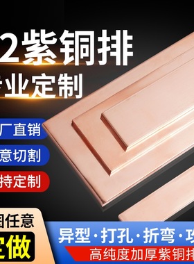 紫铜排T2接地汇流红机房空开连接散接线地母导电铜热镀锡铜条定制