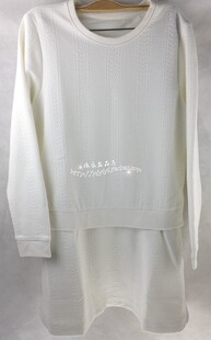 女装正品秋季新款简洁大方百搭显瘦冬天打底裙圆领长袖双层连衣裙