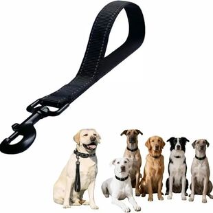 Reflective Short Dog Leash Nylon Non Slip Training Lead