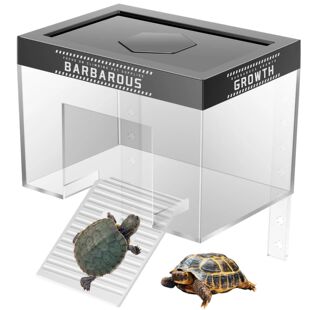 with Platform Basking Ramp and Nonslip Lid Turtle