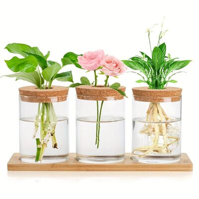 3 Pcs Acrylic Vase with Bamboo Tray Plant Home Decoration