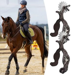 Horse Western pair style Equestrian Classic Spurs